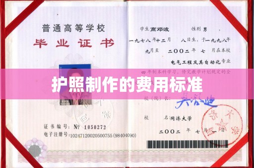 镜湖护照制作的费用标准